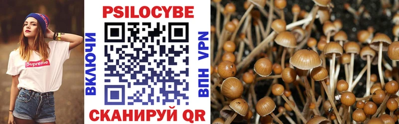 где купить наркоту Армянск Псилоцибиновые грибы прущие грибы